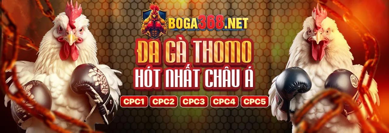 Sân đấu đá gà Thomo sôi động với các trận đấu hấp dẫn và người hâm mộ cuồng nhiệt