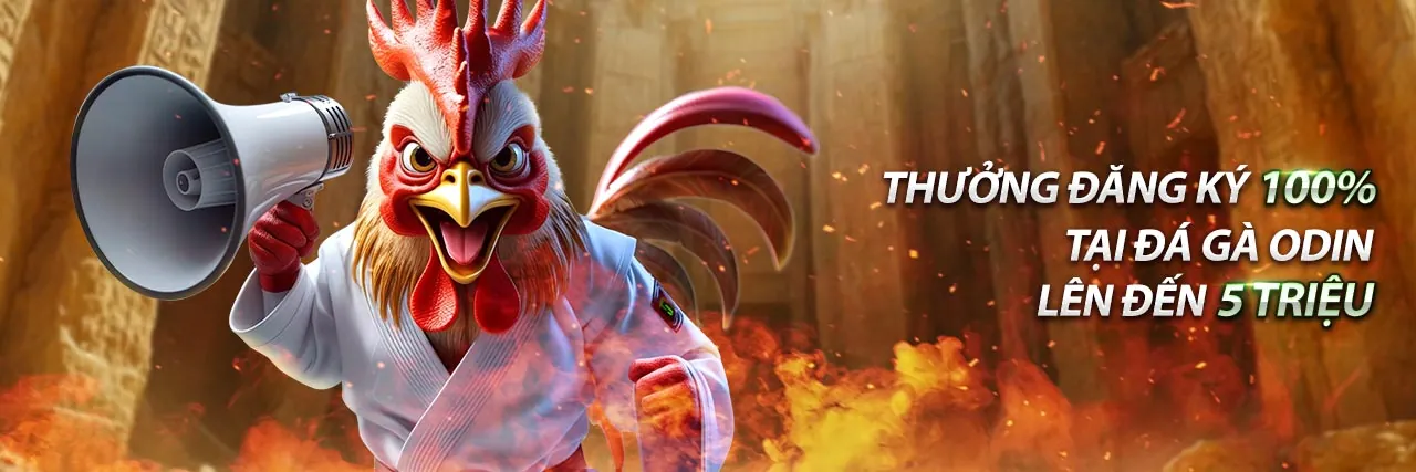 Sân đá gà Thomo với hai chú gà đòn sẵn sàng chiến đấu, minh họa cho hướng dẫn trò chơi